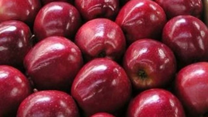 بخشی از سیب صادرکنندگان برای تنظیم بازار عید عرضه می شود