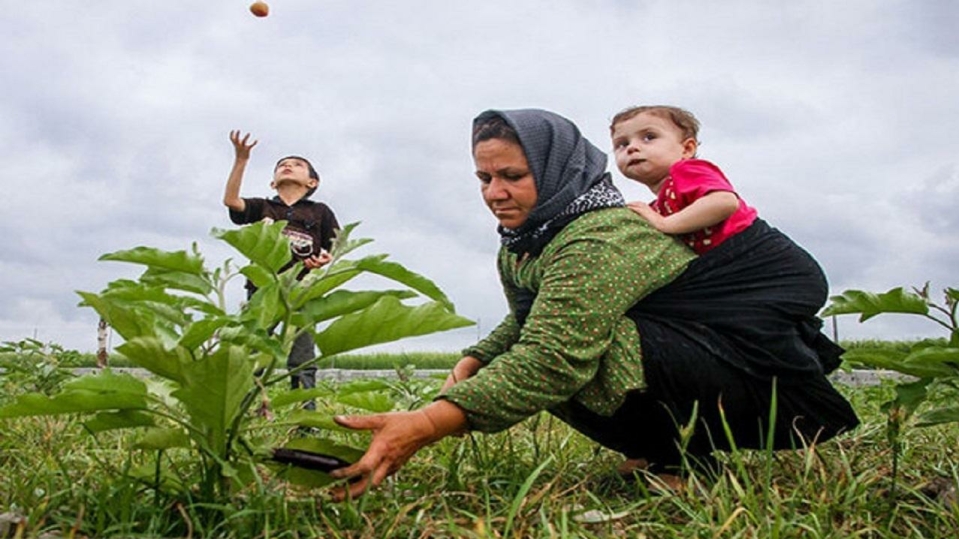 پوشش بیمه تأمین اجتماعی برای 500 هزار مادر روستایی با سه فرزند