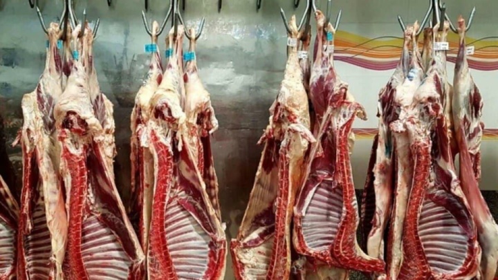 اختصاص ارز برای واردات گوشت قرمز