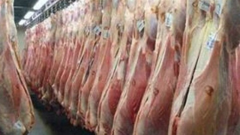 امکان واردات گوشت قرمز و دام از ۸ کشور