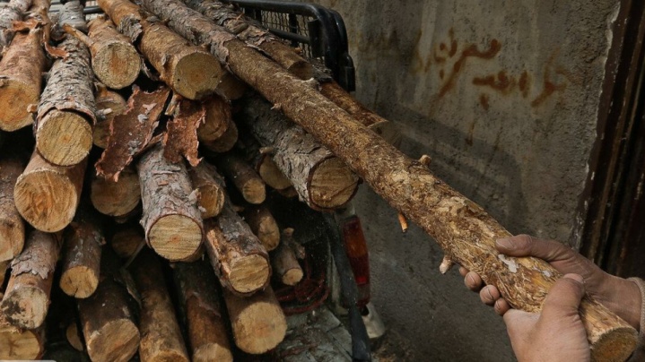 کشف ۱۵ تن چوب قاچاق در پارسیان هرمزگان
