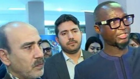 آفریقای مرکزی آماده توسعه همکاری‌های معدنی با ایران