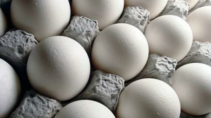 بازار آرام تخم مرغ در اردیبهشت ماه