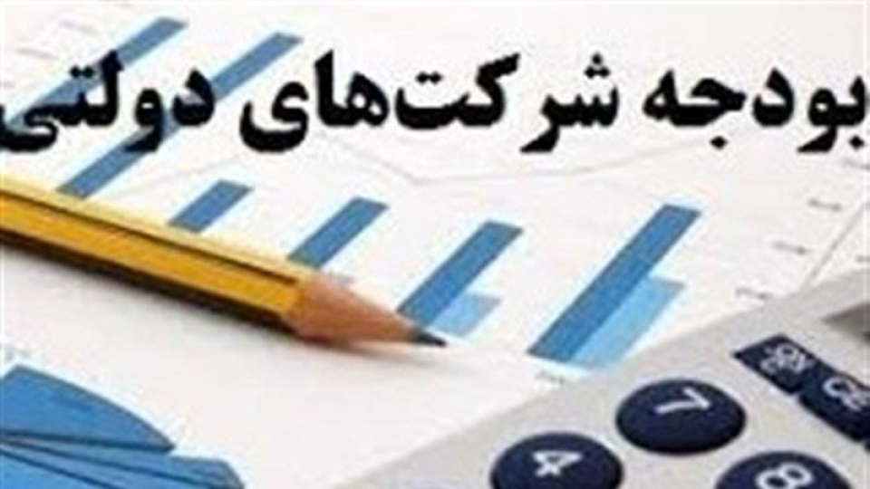 تزریق۳۶همت‌ اعتبار شرکت‌های دولتی در امورفرهنگی