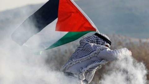 استقبال کشورهای عربی از به رسمیت شناختن کشور فلسطین