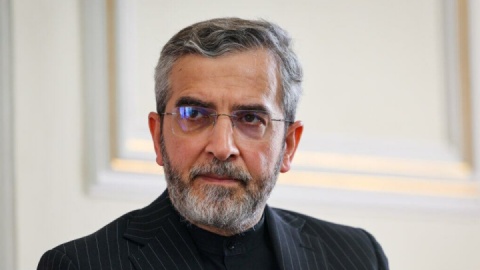 وزیر امور خارجه عمان با «باقری» دیدار کرد