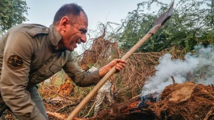 ۲۸۸ هکتار از مناطق محیط زیست و جنگل‌های خوزستان دچار حریق شد