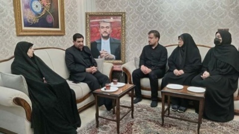 مخبر: ثمره مجاهدت‌های شهید امیرعبداللهیان آزادی قدس شریف است