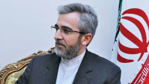 باقری‌ کنی: اجازه دهند آژانس نقش فنی و تخصصی خود را ادامه دهد