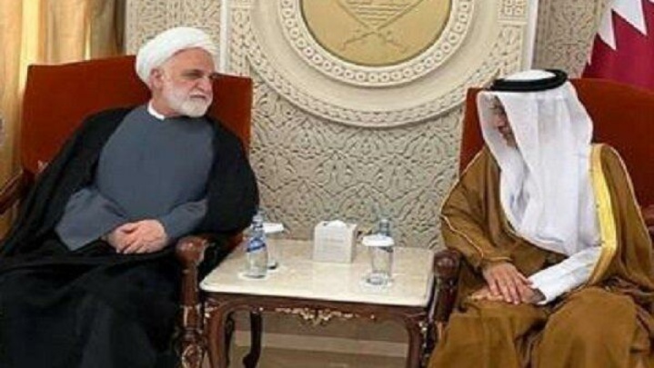 همکاری‌های ایران و قطر در حوزه مسایل منطقه‌ای مطلوب است