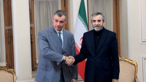 گفت وگوی باقری با رئیس کمیته امور بین‌الملل دومای دولتی روسیه