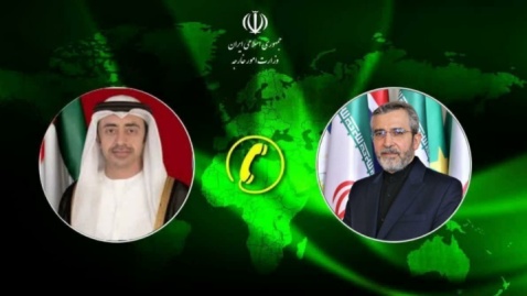 باقری: کشورهای اسلامی برای توقف جنگ غزه تمامی ابزارهای در دسترس را به کار گیرند