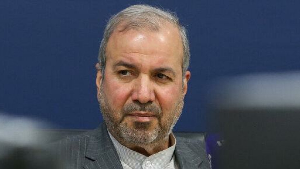 حضور پرشکوه زائران ایرانی در کربلا برای انتخابات