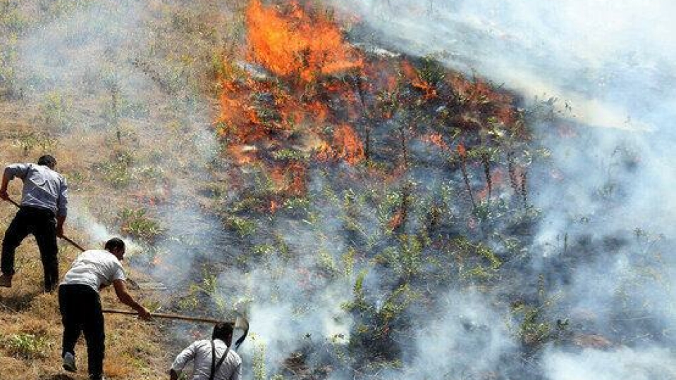 ۹۰ درصد عوامل آتش‌سوزی‌ خوزستان ناشی از عوامل انسانی است