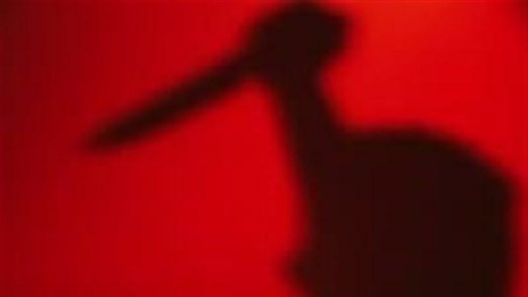 قتل در شهر ری/  قاتل پس از ۱.۵ ساعت دستگیر شد