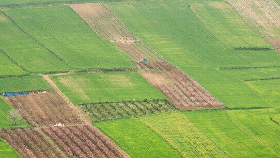 لزوم وحود عزم ملی در راستای حفظ کاربری اراضی