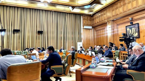 وزارت صمت و نیرو برای حل مشکلات تاکسی برقی ورود کند