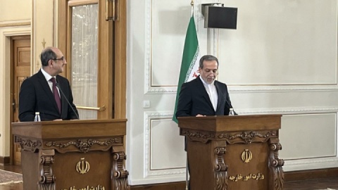 گفتگوی عراقچی با وزیر خارجه سوریه درباره حملات گروه های ترورریستی به این کشور