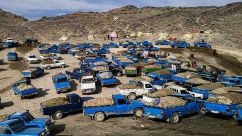 ابعاد قاچاق سوخت اطلاع رسانی می شود