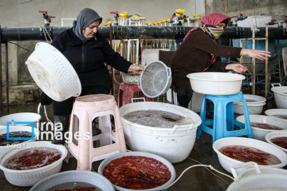 مجتبی محمدی، ایرنا