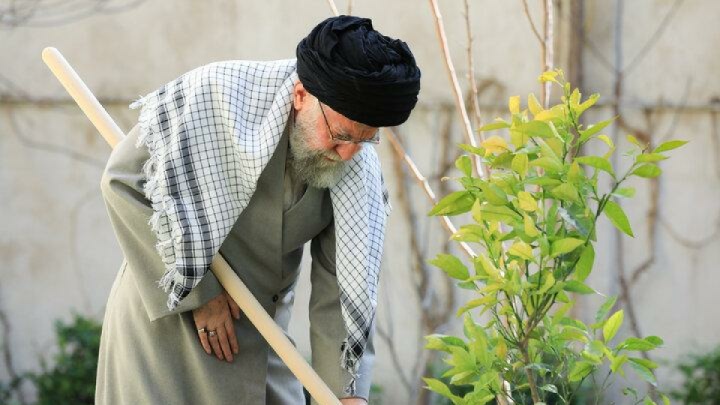 گزارش تصویری/ کاشت نهال توسط رهبر انقلاب در روز درخت‌کاری