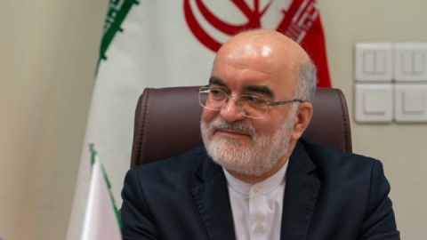 بسیاری از ایرانیان خارج از کشور تمایل دارند به کشور بازگردند