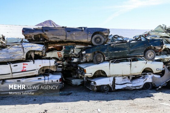 عکاس: مرتضی صالحی فر