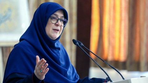 فیلم/ مهاجرانی: تحریم وزیر نفت خلاف پروتکل‌های بین‌المللی انجام شده