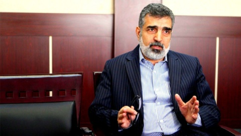 کمالوندی: تعهدات برجامی قابل بازگشت است به شرط اینکه حقوق ایران نادیده گرفته نشود