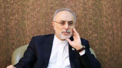 رئیس بنیاد ایران‌شناسی: در زمین بدخواهان ایران بازی نکنیم