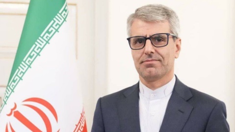 بقائی: دوازدهم فروردین تبلور عزم ایرانیان برای تحکیم استقلال خود بود