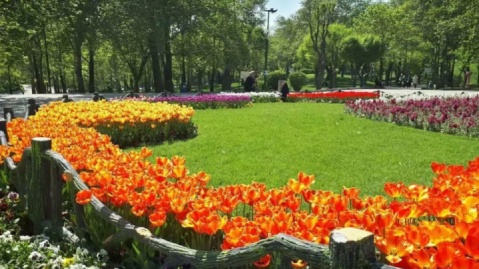 آماده‌سازی ۶۴ هزار هکتار فضای سبز تهران برای روز طبیعت
