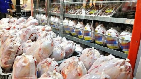 قیمت گوشت مرغ، امروز ۱۷ فروردین ۱۴۰۴