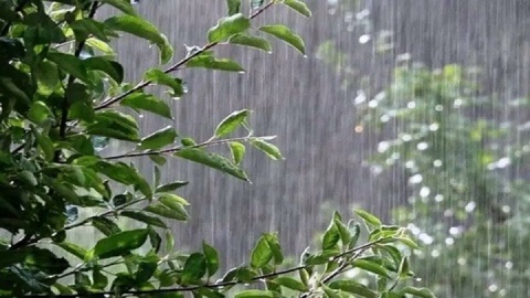 هواشناسی| رگبار پراکنده باران در ۱۱ استان کشور