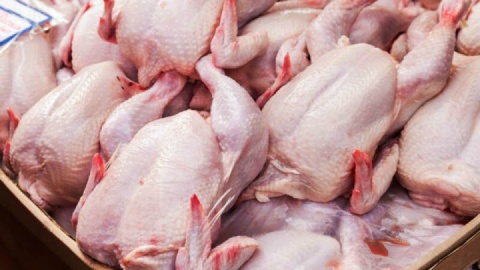 قیمت گوشت مرغ، امروز ۱۸ فروردین ۱۴۰۴
