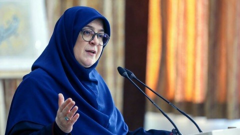 فیلم/ مهاجرانی: وزیر اقتصاد در مهلت قانونی معرفی می‌شود