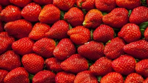 قیمت نوبرانه‌های بهاری در میادین تهران