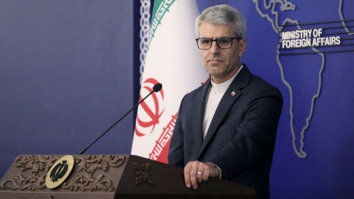 بقائی: اقدام آلمان در ارائه قطعنامه ضد ایرانی در شورای حقوق بشر مداخلهجویانه است