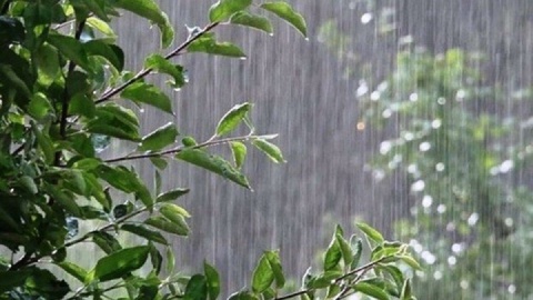 هواشناسی| رگبار و رعد و برق در ۲۸ استان