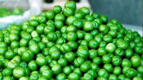 نرخ نوبرانه گوجه سبز؛ ۷۰۰ هزار تا ۲ میلیون تومان