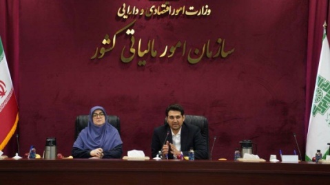 سخنگوی دولت: برای کسانی که مالیات خود را به موقع می‌پردازند از ابزارهای تشویقی استفاده شود