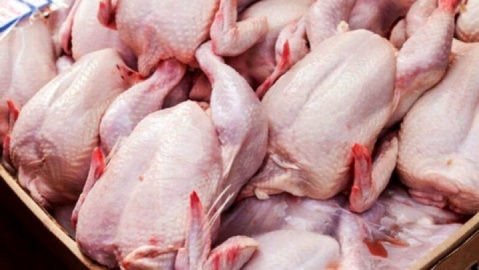 قیمت گوشت مرغ، امروز ۱۳ اردیبهشت ۱۴۰۴