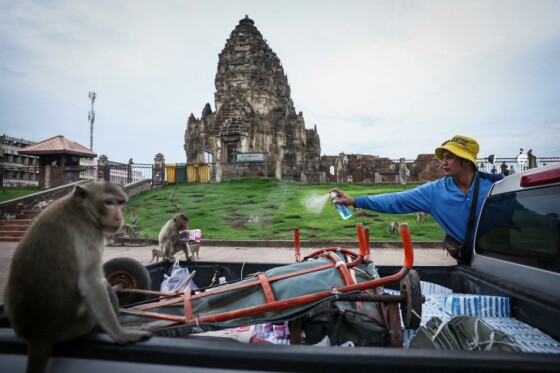 عکس: Chalinee Thirasupa / رویترز