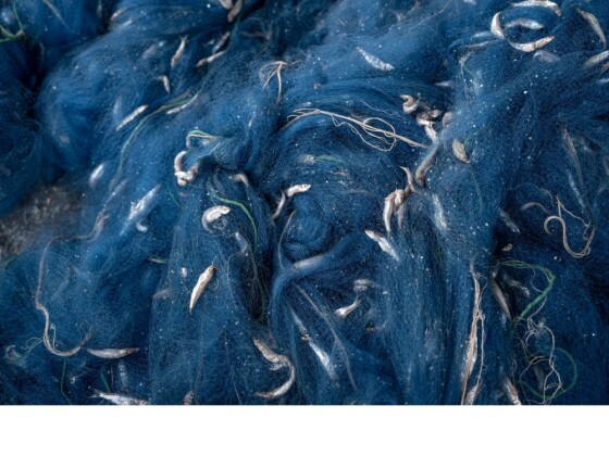 عکس: اوبین موکونی