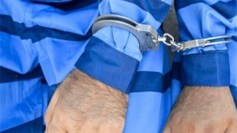 تشکیل باند خانوادگی برای سرقت