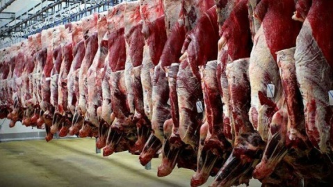 فردا ثبت سفارش جدید گوشت قرمز و چای آغاز می‌شود