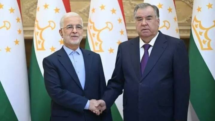 دیدار وزیر کشور با رئیس جمهوری تاجیکستان