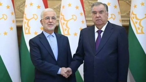 دیدار وزیر کشور با رئیس جمهوری تاجیکستان