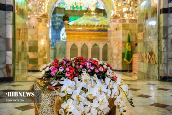 عکاس :رضا رمضانی