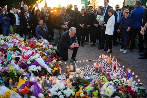 عکس: شان کیلپاتریک/ مطبوعات کانادا